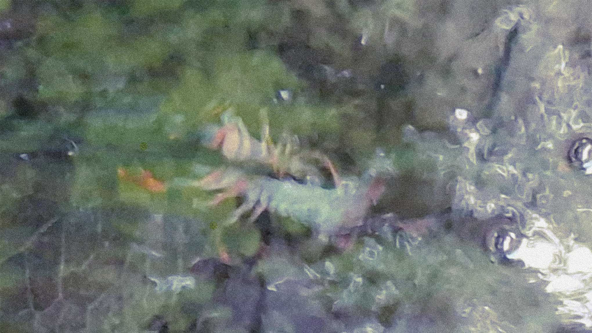 h1